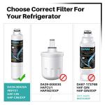 ICEPURE Plus Refrigerator Water Filter - 4 Pack