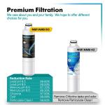ICEPURE Plus Refrigerator Water Filter - 4 Pack