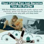 Coconut Carbon Filters for Ceiling Fan Purification