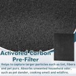 Pangda 4 Pack Activated Carbon Pre Filters for Winix