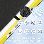 HEPA Filter B for G-Guardian Air Purifiers