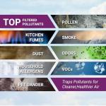 Winix Q Filter with Activated Carbon for Odor Control