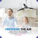 Coconut Shell Ceiling Fan Filters - 10 Pack