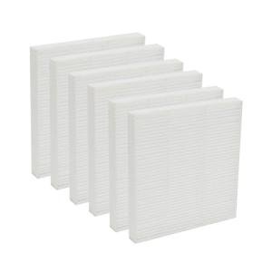 PUREBURG 6-Pack HEPA Filter for Hoomace, Hipilove, Youtuba
