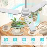 Tuanse 20 Pack Ceiling Fan Filters - Coconut Zeolite