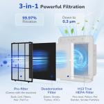 Fil-fresh 2-Pack Replacement Filters for Airmega