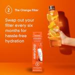 Whirlpool Everydrop Ice and Water Filter 2