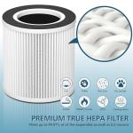 B-D02L/M05 HEPA Replacement Filter, 2 Pack