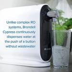 Cypress Countertop Water Filter by H2O+