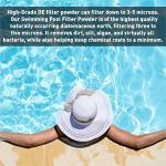 EASYGO PRODUCTS Dicalite Minerals DE25BOX Diatomaceous Earth Pool Filter D.E. 25 lbs