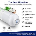 T33 Inline Water Filter Cartridges - 2-Pack