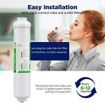 T33 Inline Water Filter Cartridges - 2-Pack