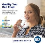 T33 Inline Water Filter Cartridges - 2-Pack