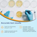 Bacteria Test Kits for Drinking Water - 12 Tests Detect Coliform, E.coli & All Bacteria | Home Quality Testing Kit for Well, Tap, Pool, Hot Tub & City Water | Easy DIY Tester with Free Lab Analysis