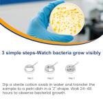 Bacteria Test Kits for Drinking Water - 12 Tests Detect Coliform, E.coli & All Bacteria | Home Quality Testing Kit for Well, Tap, Pool, Hot Tub & City Water | Easy DIY Tester with Free Lab Analysis