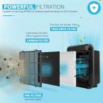 3 Pack True HEPA Filters for Coway Air Purifiers