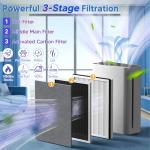 Vital 100 Filter Pack for LEVOIT Air Purifier