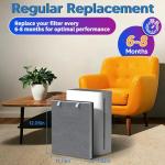 Vital 100 Filter Pack for LEVOIT Air Purifier