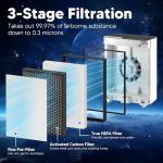 Funmit Vital 100 Replacement Filter, 2 Pack