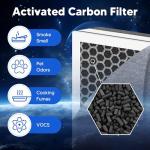 Funmit Vital 100 Replacement Filter, 2 Pack