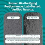 Barnakl Ultra Fresh Ceiling Fan Filters (5-Pack)