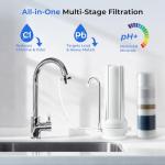 iSpring CT10-W Multi-Layer Countertop Water Filter