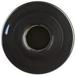 Clear Choice CCP444 Replacement Filter for Arctic Spa