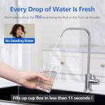 Philips AUT9340 Tankless RO Filter System