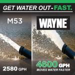 WAYNE CDU790 1/3 HP Submersible Sump Pump