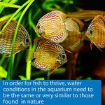 API 5-in-1 Water Testing Strips