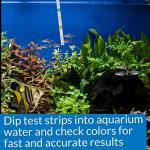 API 5-in-1 Water Testing Strips