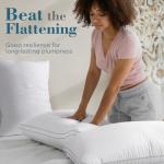 Viewstar Queen Size Fluffy Down Alternative Pillows