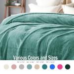 Celadon Fleece Throw Blanket - Super Soft & Cozy