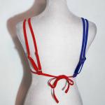 Stars and Stripes Bikini for 4th of July