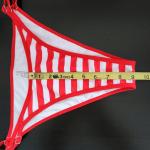 Stars and Stripes Bikini for 4th of July