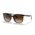 Ray-Ban Women's Square Sunglasses, Havana/Brown