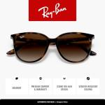 Ray-Ban Women's Square Sunglasses, Havana/Brown
