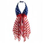 Plus Size American Flag Tankini Swimsuit