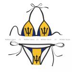 Barbados Flag Two Piece Bikini Swimsuit