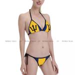 Barbados Flag Two Piece Bikini Swimsuit