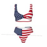 USA Flag Women's Bikini Set with Push-Up Top