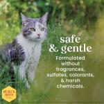 Burt’s Bees for Pets Hypoallergenic Cat Shampoo with Shea Butter and Honey, Gentle Kitten Shampoo for Indoor Cats with Dry or Sensitive Skin, Cat Bathing Supplies, 10 Fl Oz