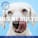 Naturél Promise Fresh Dental Breath Freshener & Teeth Cleaning Water Additive for Dogs, 18 oz Bottle