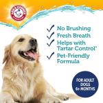 Arm & Hammer Dog Dental Water Additive Breath Freshener, Odorless Flavorless Oral Care Solution for Plaque and Tartar Control, Daily No Brush Dental Support for Dogs, 16 Fl Oz