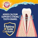 Arm & Hammer Dog Dental Water Additive Breath Freshener, Odorless Flavorless Oral Care Solution for Plaque and Tartar Control, Daily No Brush Dental Support for Dogs, 16 Fl Oz