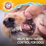 Arm & Hammer Dog Dental Water Additive Breath Freshener, Odorless Flavorless Oral Care Solution for Plaque and Tartar Control, Daily No Brush Dental Support for Dogs, 16 Fl Oz