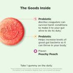 Peachy Probiotic + Prebiotic Gummy - 30 Count