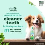 TropiClean Oral Care Brushing Gel for Dogs & Cats| Dog Toothpaste | Pet Dental Gel | Dog Teeth Cleaning Use with Pet Toothbrush | 2 oz