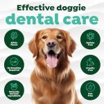 TropiClean Oral Care Brushing Gel for Dogs & Cats| Dog Toothpaste | Pet Dental Gel | Dog Teeth Cleaning Use with Pet Toothbrush | 2 oz