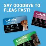 Capstar (Nitenpyram) Fast-Acting Oral Flea Treatment for Dogs 2-25 Lbs, Vet-Recommended Medication Tablets, Flea Tablets for Dogs Start Killing in 30 Minutes, 6 Doses